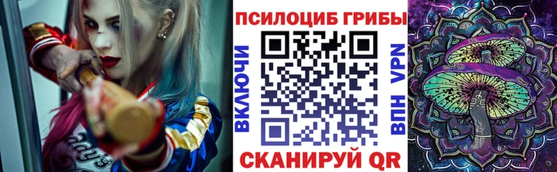 даркнет сайт Кирсанов Псилоцибиновые грибы Psilocybine cubensis