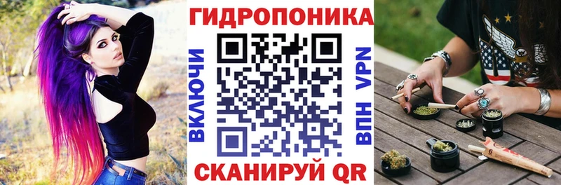 Конопля гибрид  где можно купить   Кирсанов 